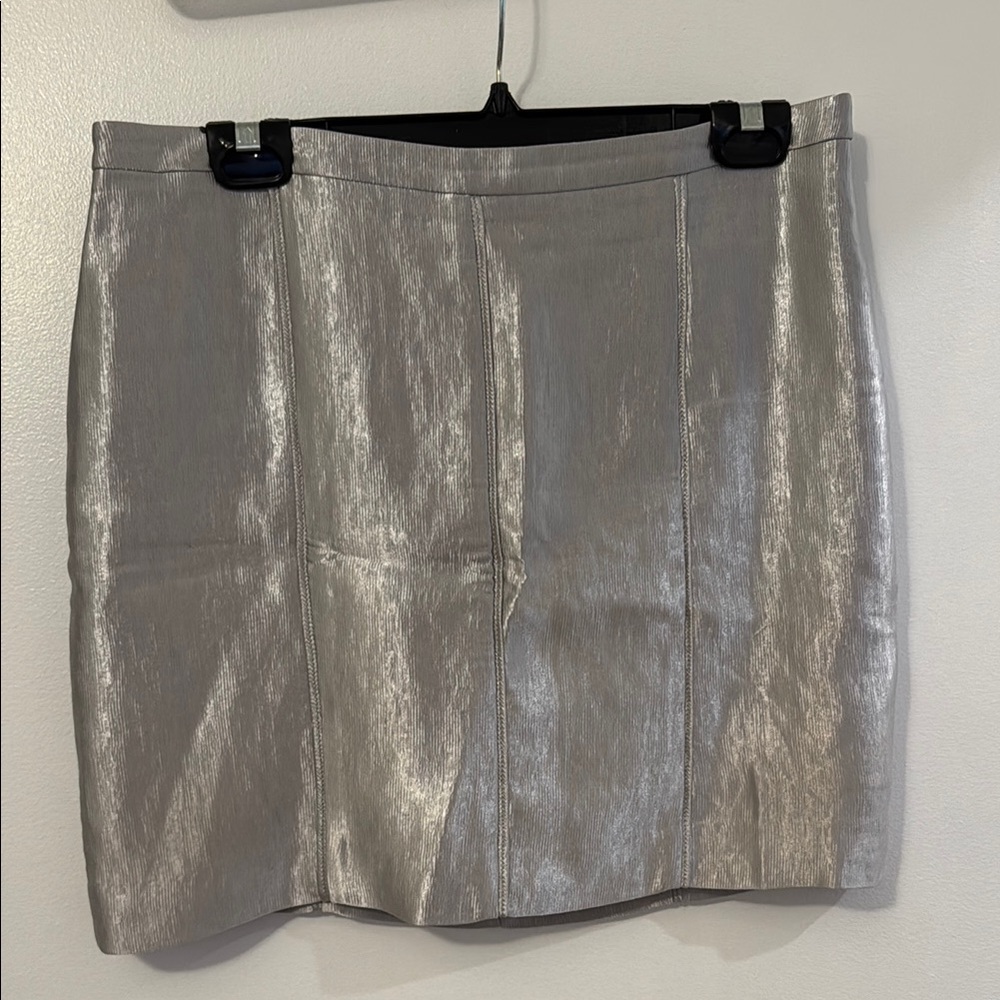 Last Chance: Judith and Charles Silver Mini Skirt
